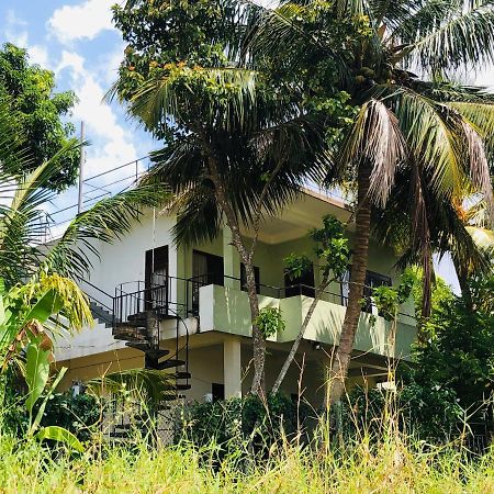 Rice Field View Home Stay Тангалла Экстерьер фото